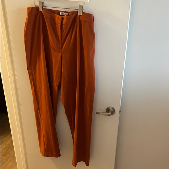 Calvin Klein Pants - Calvin Klein Rust Orange Highline Dress Pants - 16W
